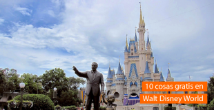 10 Cosas Gratis en Disney World
