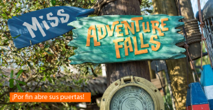 Miss Adventures Falls en Disney