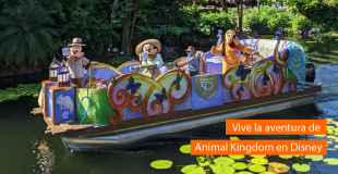 Vive la aventura en Animal Kingdom de Disney World