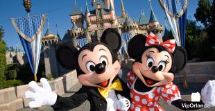 Primer viaje a Disney: Guía rápida